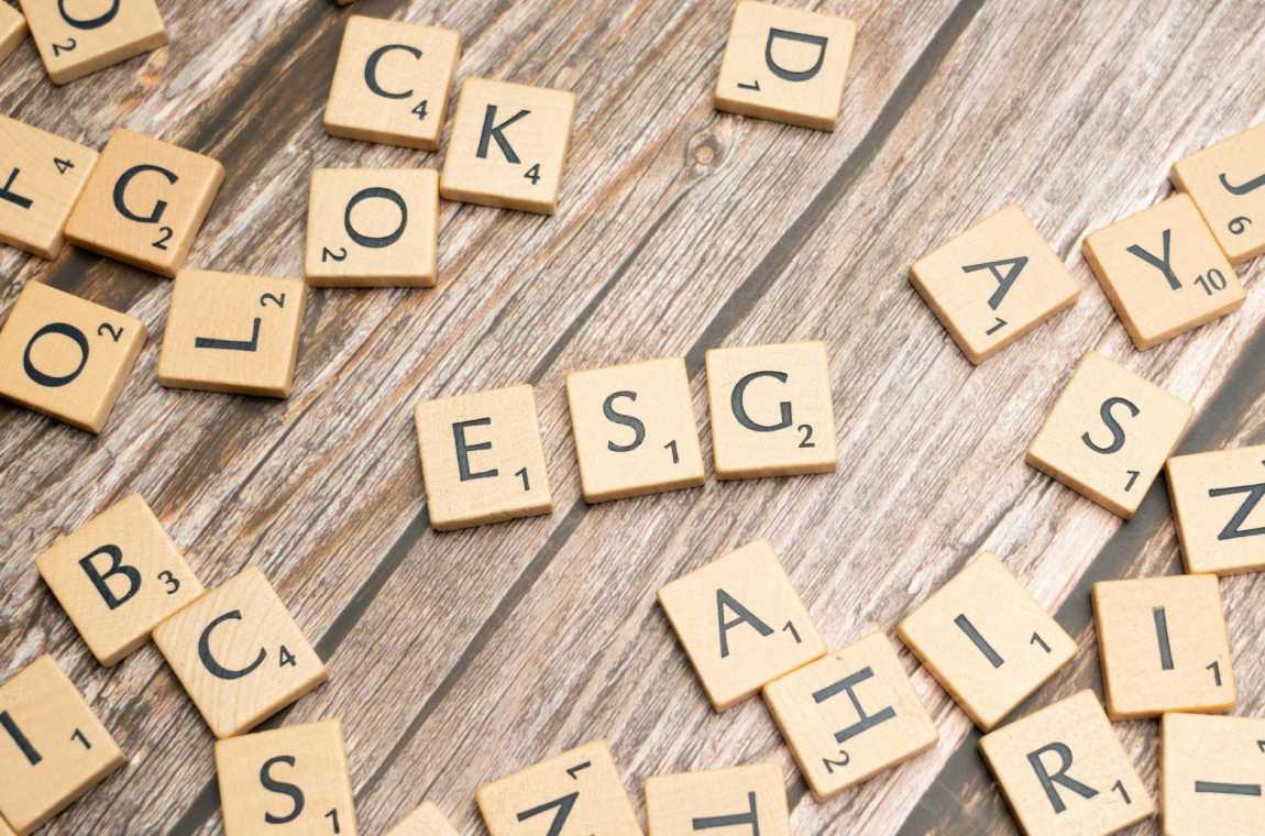 esg (2)