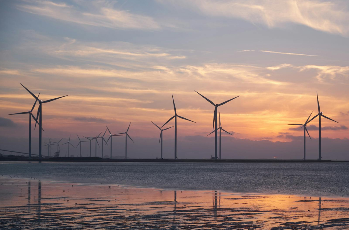 sustainability sustainability